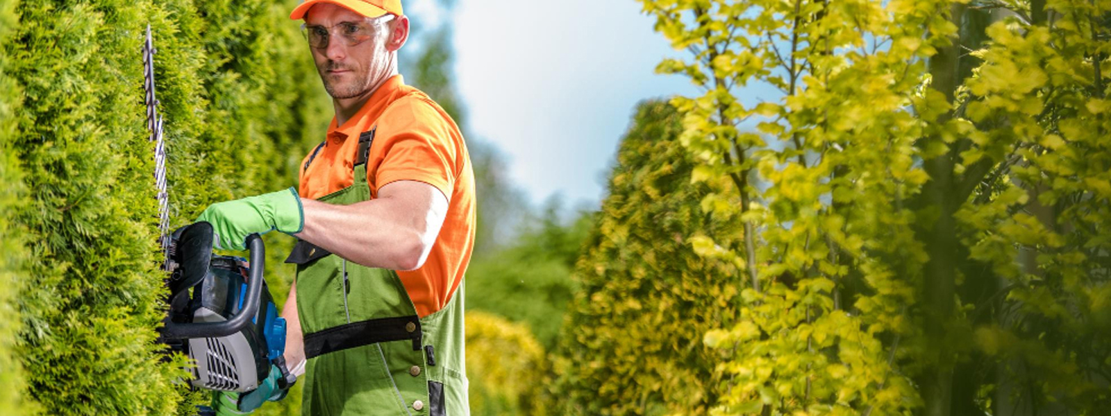 Élagage et entretien de jardin à Villeneuve-Tolosane